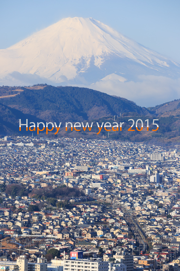 Happy-new-year-2015-LSE_v.jpg